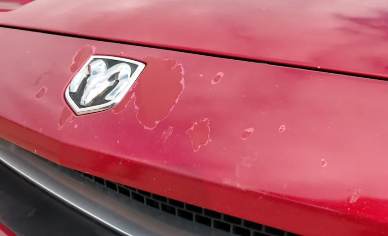 5 Indices Your Car Needs a Fresh Coat of Paint